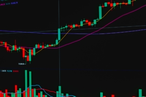 Japonya'nın Finansal Sistemi Üzerine Değerlendirmeler